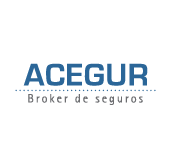 acegur
